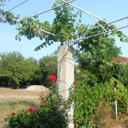 10256a Appartement *